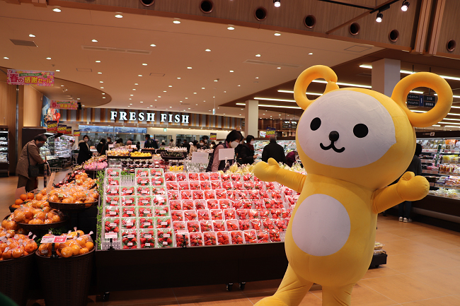 普段のくらしを支える店舗事業